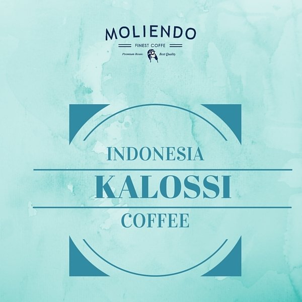 Moliendo Endonezya Kalossi Kahve