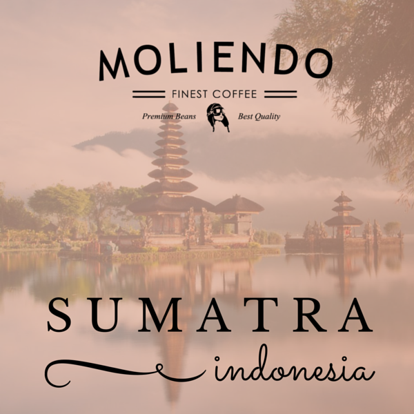 sumatra kahve