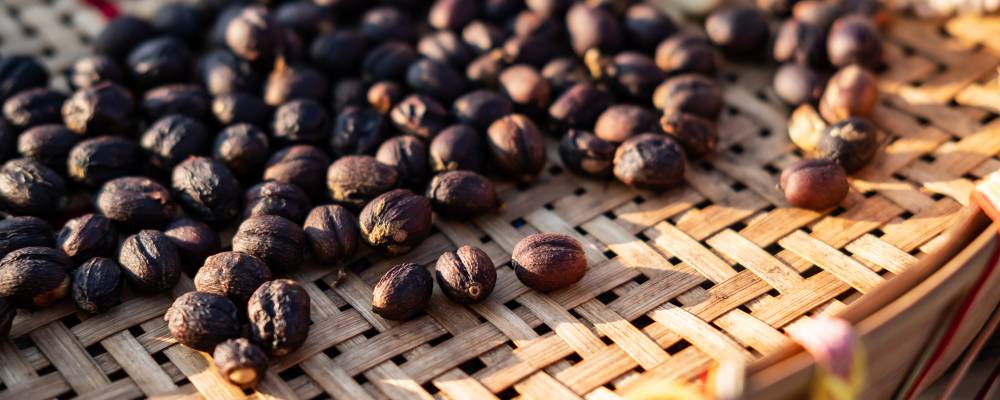 Robusta Kahve Cekirdegi Nedir