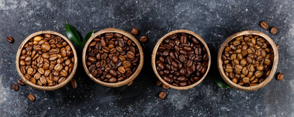 arabica ve robusta kahve çekirdeği farkları