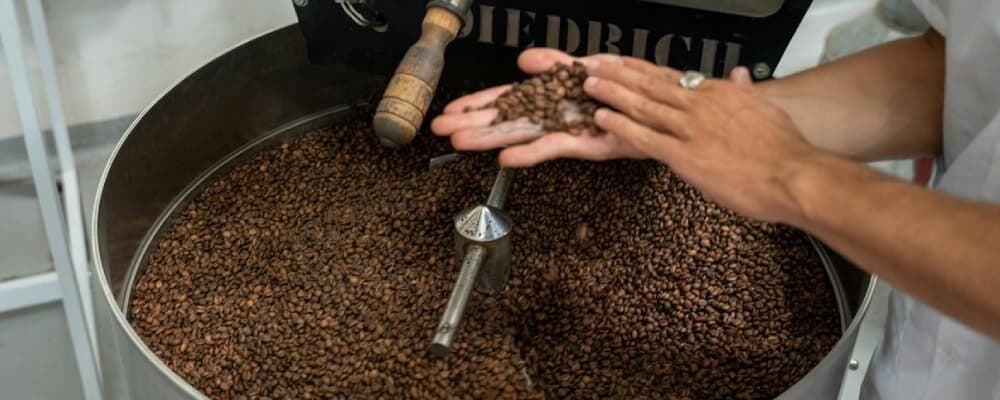 Kahve Nerede Yetişir? Dünya Kahve Kuşağı ve Üretici Ülkeler