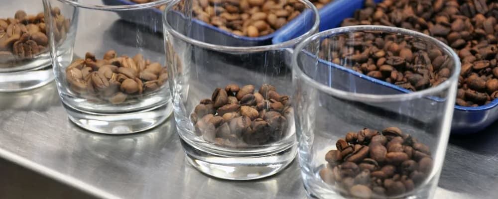 Swiss Water Yöntemi Nedir? Kafeinsiz Kahvede En Doğal Süreç