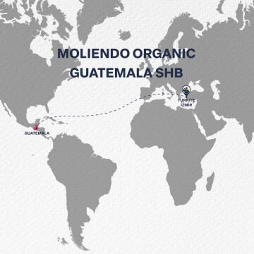 Moliendo Organic Guatemala SHB (Çekirdek) Yöresel Kahve 250 g