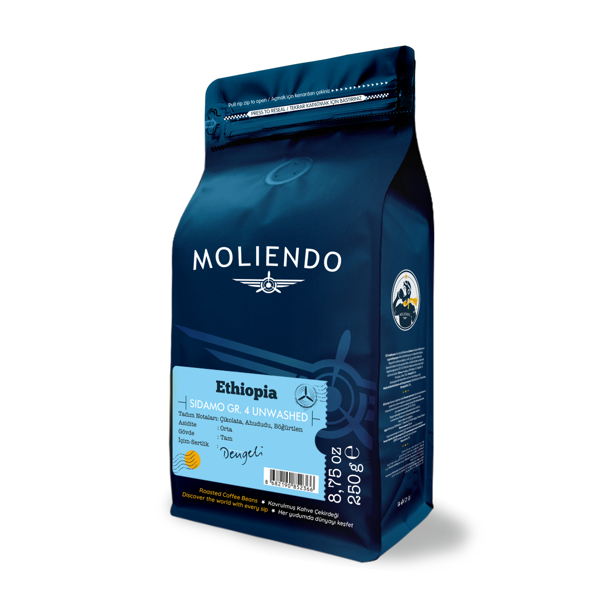 Moliendo Ethiopia Sidamo Gr 4 Kuru İşleme Yöresel Kahve
