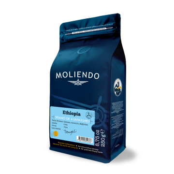 Moliendo Ethiopia Sidamo Gr 4 Kuru İşleme Yöresel Kahve