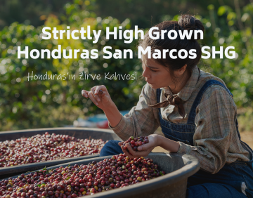 Moliendo Honduras San Marcos SHG Yöresel Kahve 250 gr.