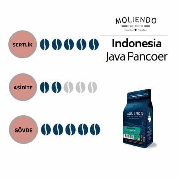 Moliendo Indonesia Java Pancoer Yöresel Kahve 1000 gr.