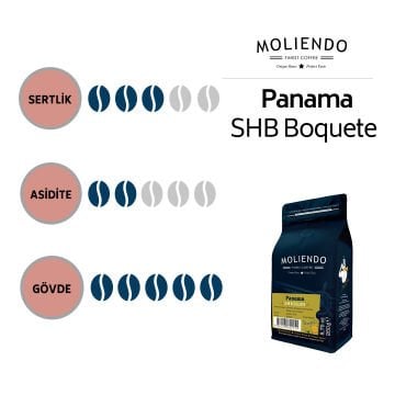 Moliendo Panama SHB Boquete Yöresel Kahve 250 gr.