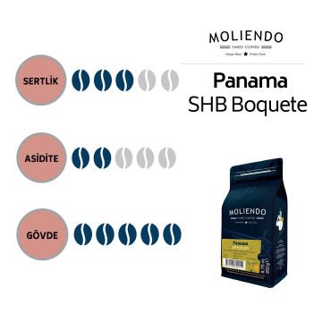 Moliendo Panama SHB Boquete Yöresel Kahve 250 gr.