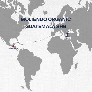 Moliendo Organic Guatemala SHB (Öğütülmüş) Yöresel Kahve 250 g