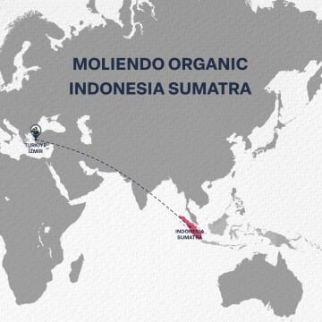 Moliendo Organic Indonesia Sumatra (Öğütülmüş) Yöresel Kahve 250 g