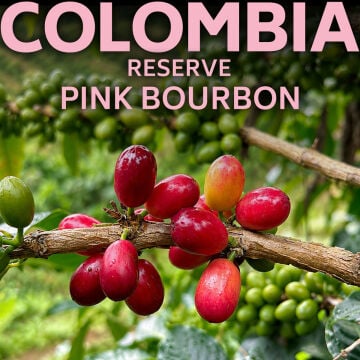 Moliendo Reserve Colombia Pink Bourbon Yöresel Kahve 250 g